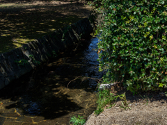 P8150120