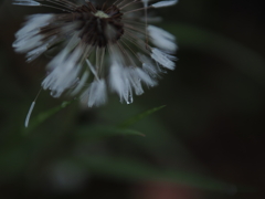 P5040711