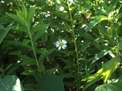 P8290079