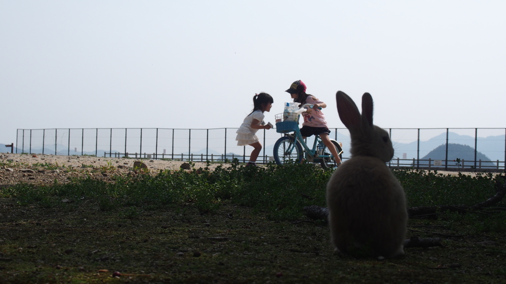 子どもとうさぎ