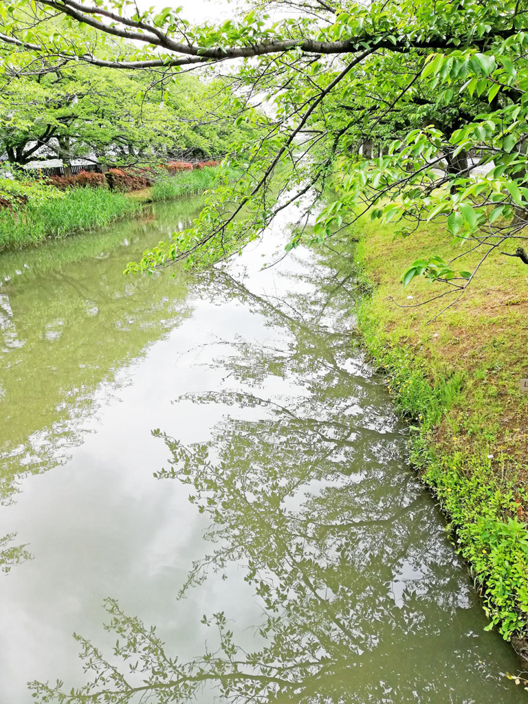 プチ散歩