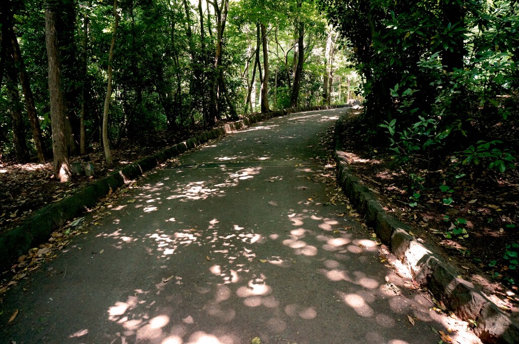 ホームパーク②