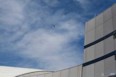 みなとみらい散歩④