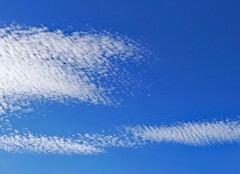 雨上がり②