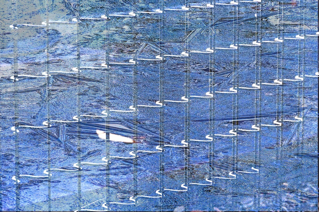 フェンスの向こう側