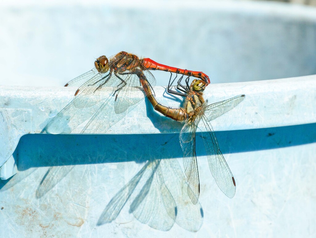 お邪魔します！