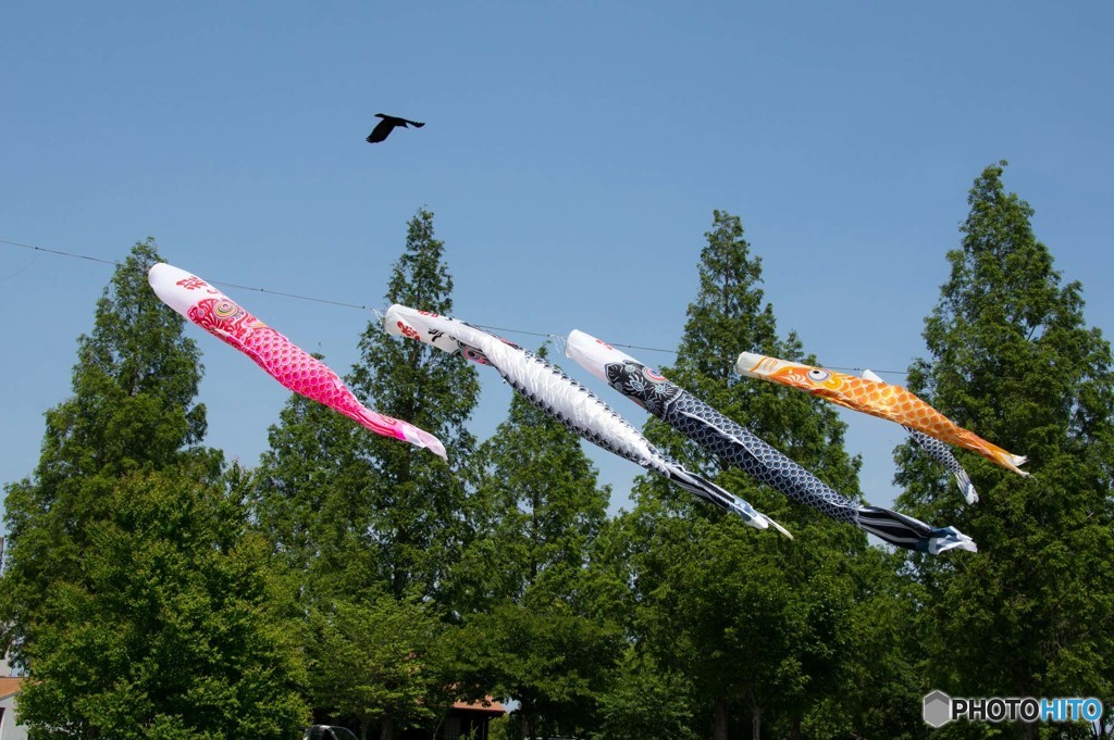 大型連休終了①