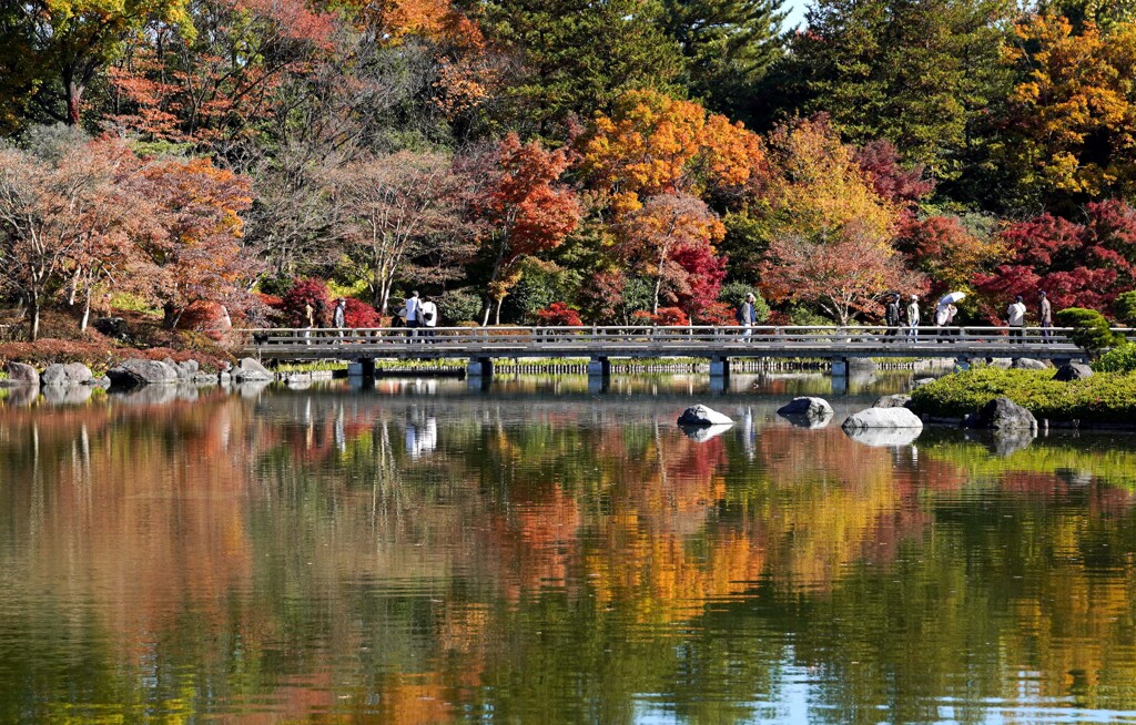 えはがき写真①