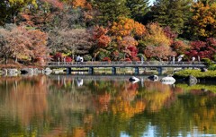 えはがき写真①