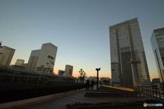 「KITTE」屋上庭園③