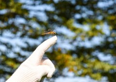 お気に入りの場所