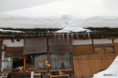 雪景色①