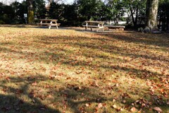 誰も居ないベンチ