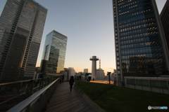 「KITTE」屋上庭園④