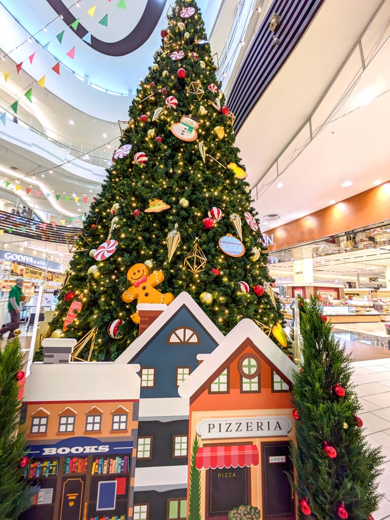 11月なのに