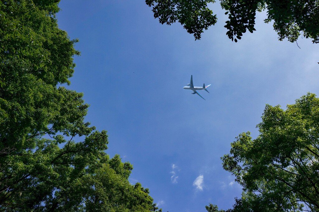 大空