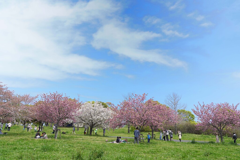 お出かけ日和③