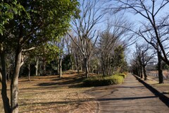 元旦撮り④