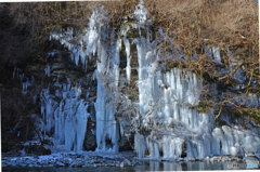 秩父の氷柱①