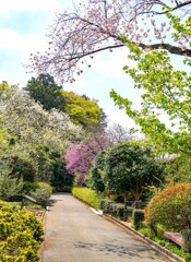 花・花・花