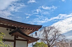 寺院風景②