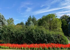 花ファンタジア②