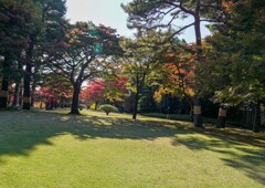 殿ヶ谷戸庭園
