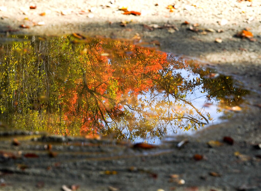 雨上がり