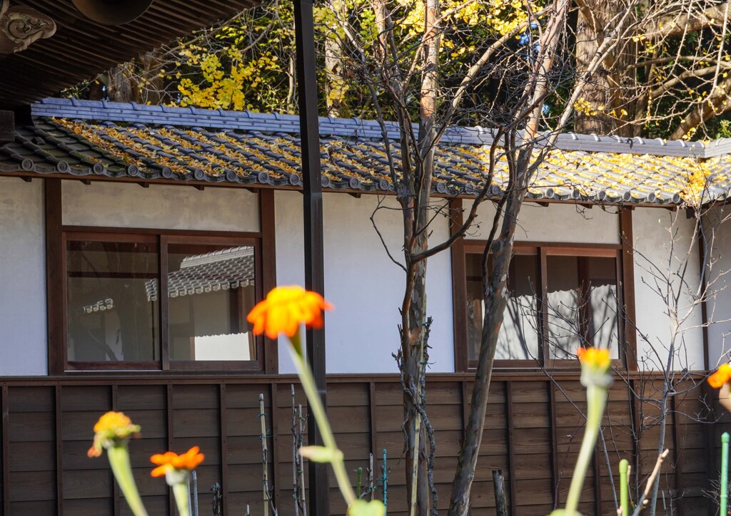 寺院の一角
