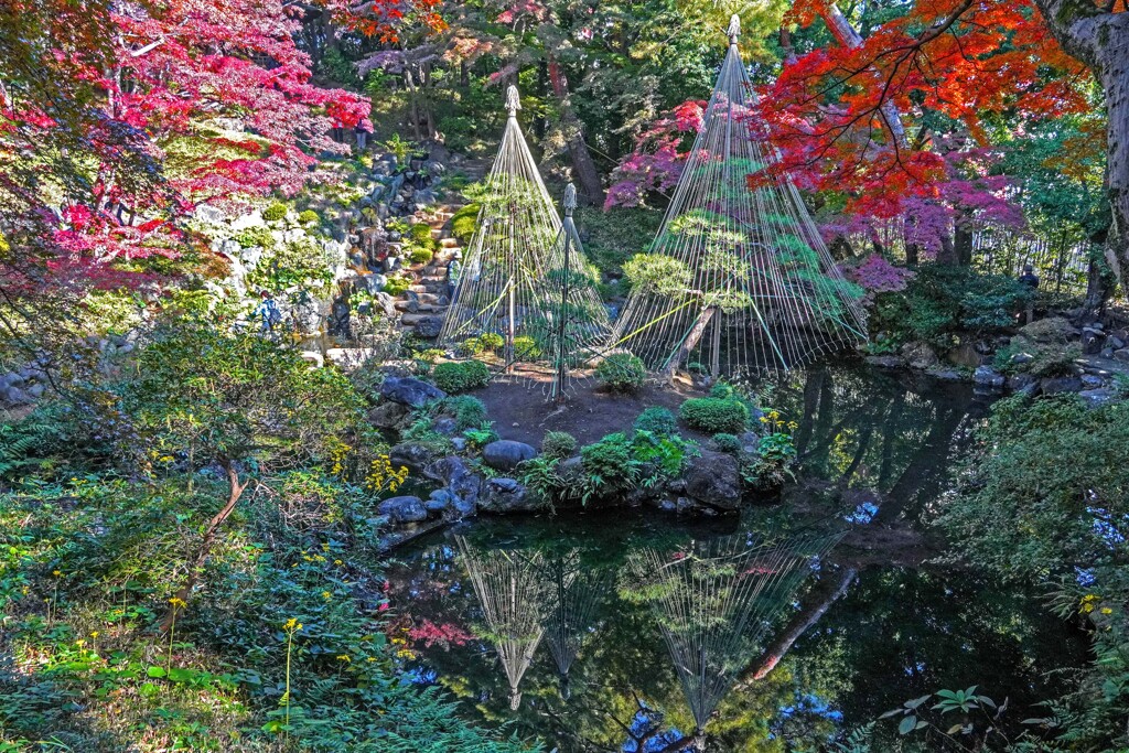 国分寺散歩③