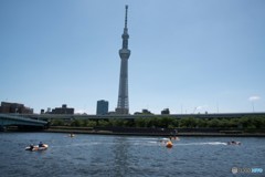 スカイツリー①