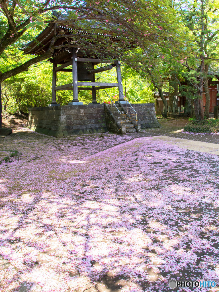 再美
