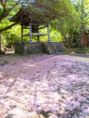 再美