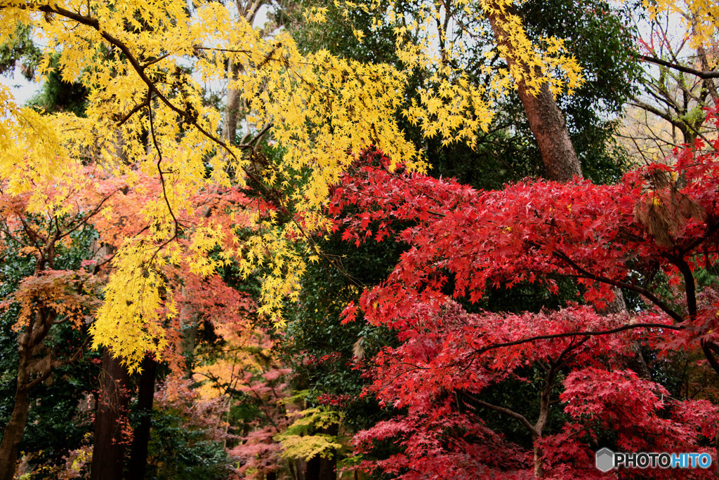 平林寺②