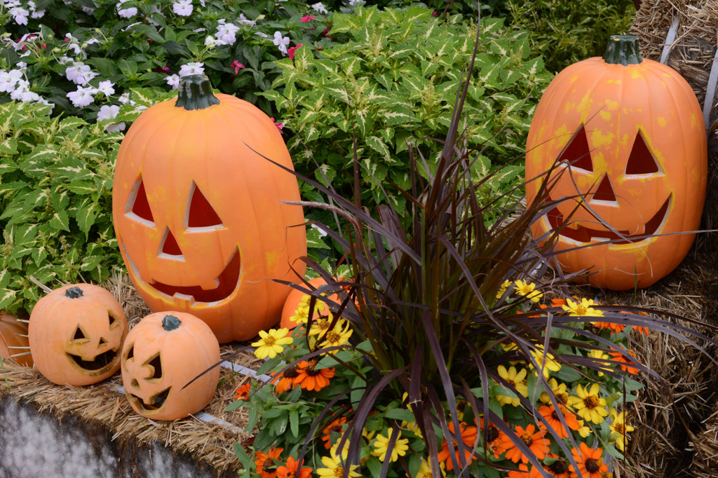 ハロウィン①