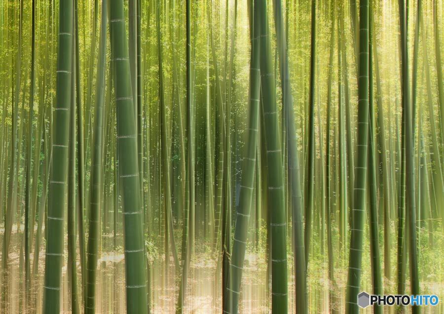 竹林