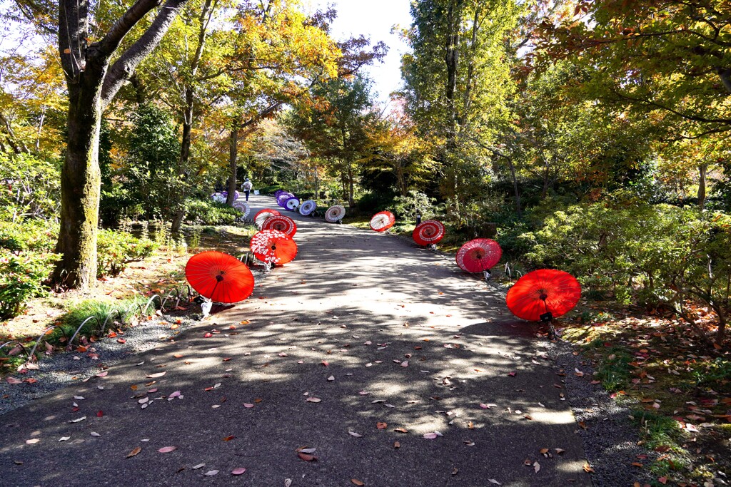 和傘のある風景