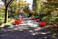 和傘のある風景