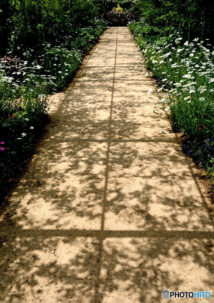 フラワーガーデン④