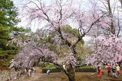 ある日・ある時