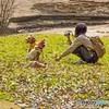 ドッグウェア①
