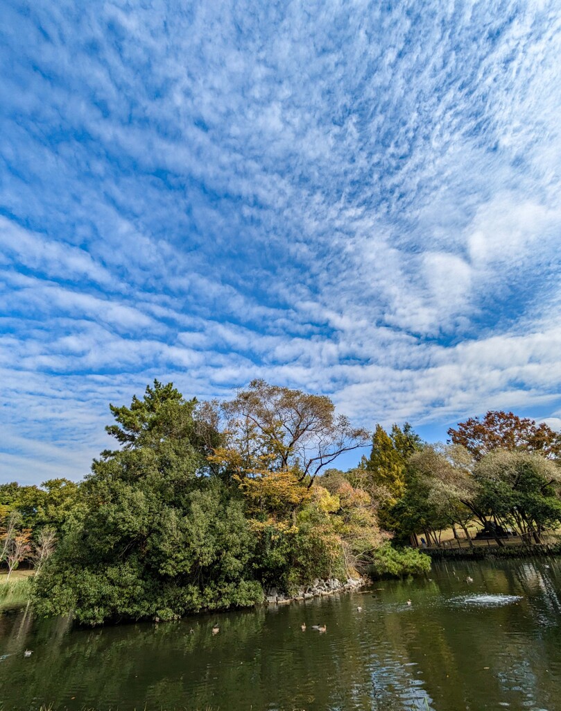 私の好きな空