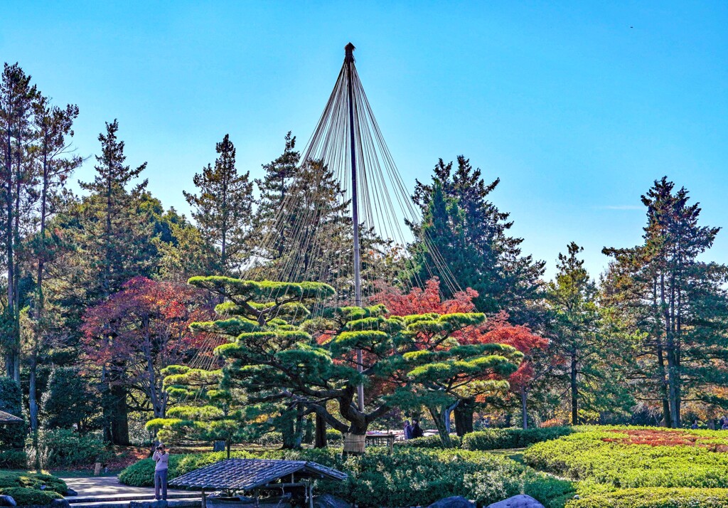 えはがき写真②