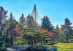 えはがき写真②