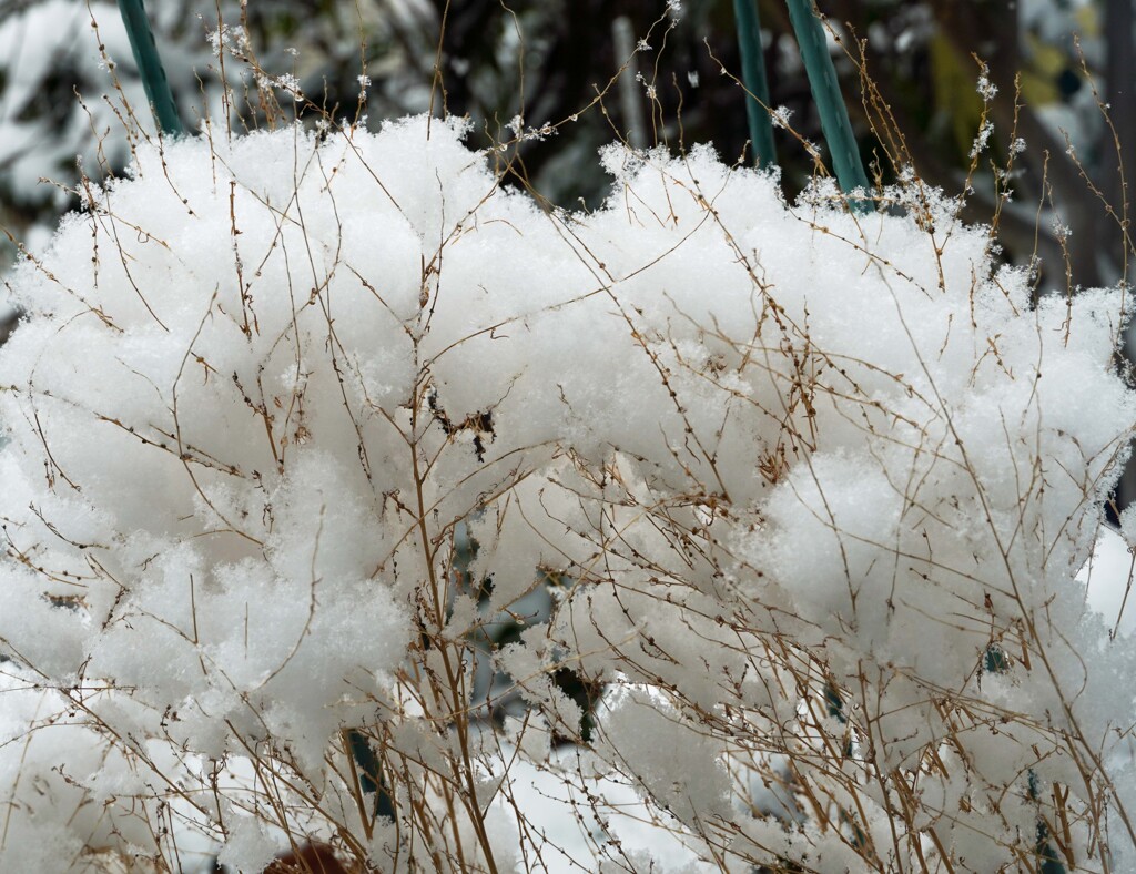小さな雪景色②