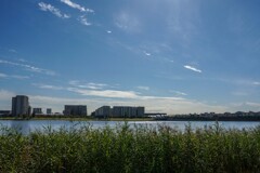 池畔散歩④