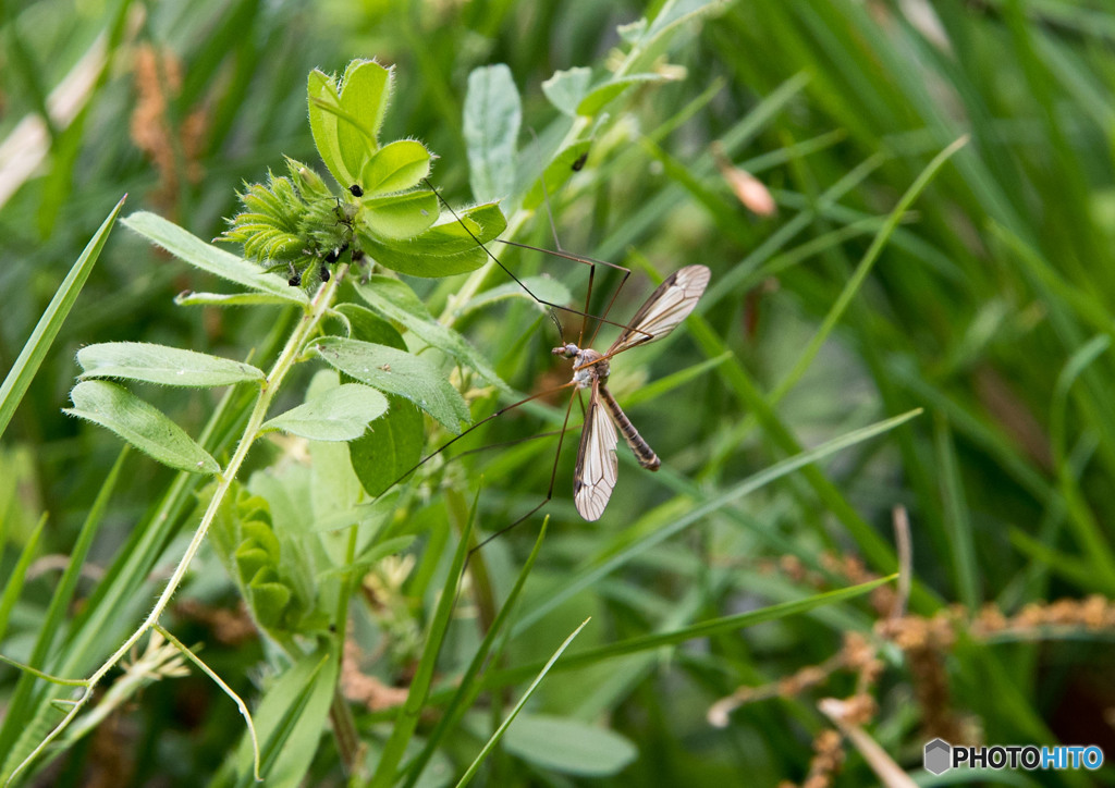 小川のほとり②