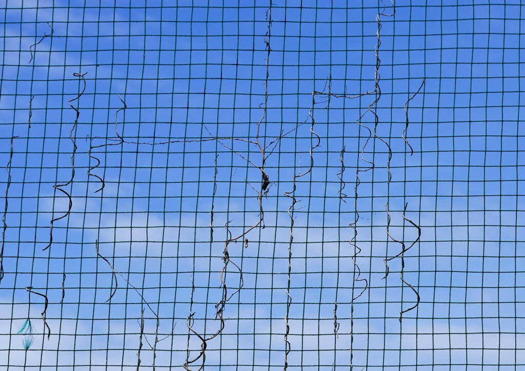 向こう側の青空