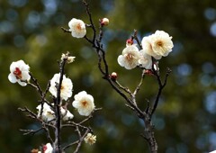 寒さにめげず②