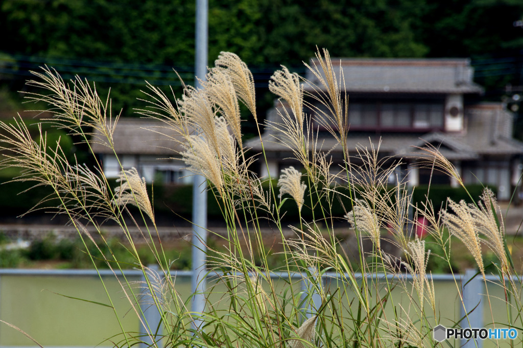 八ケ岳PA ③